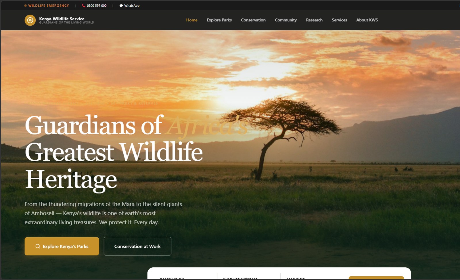 Interface preview