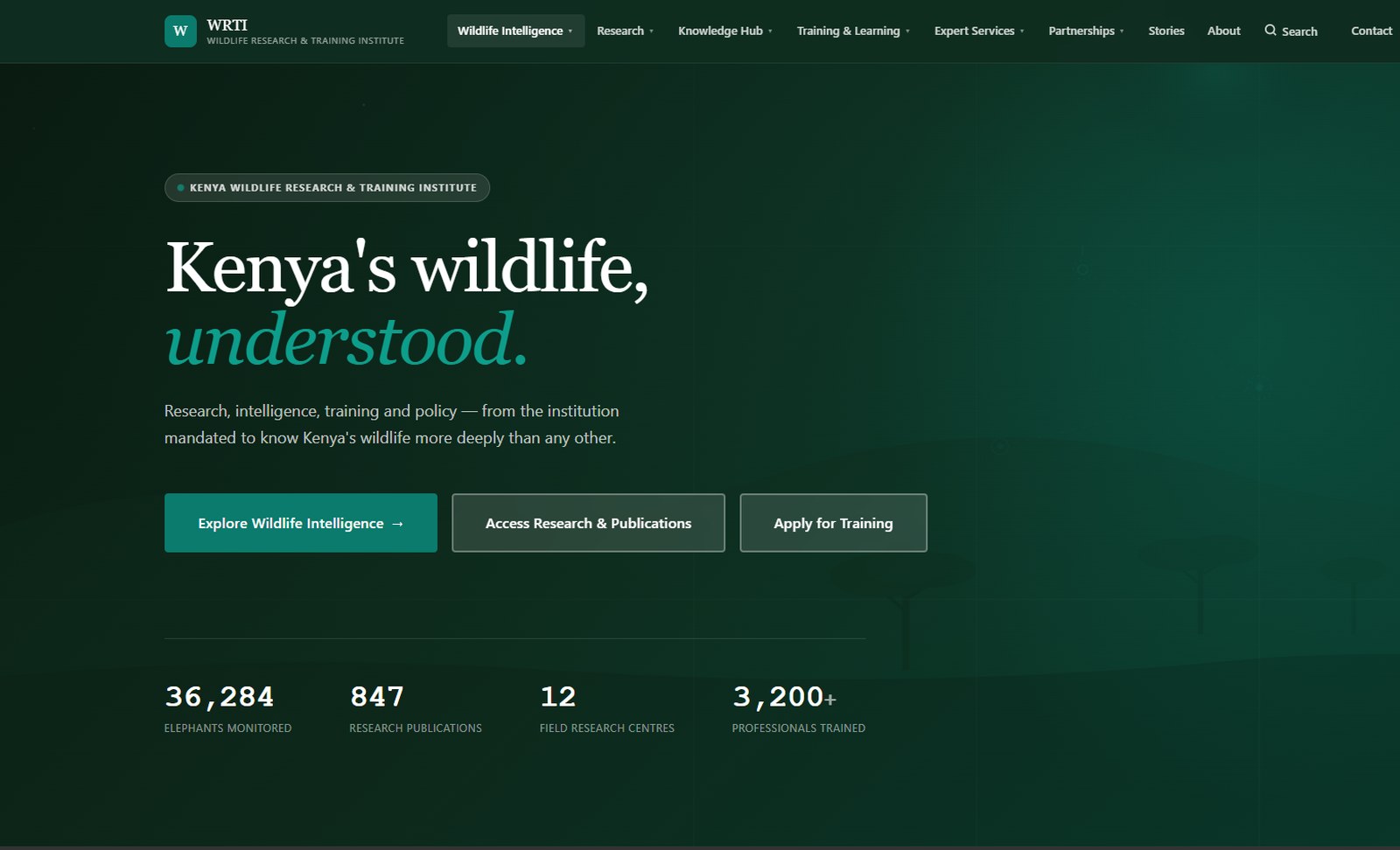 Interface preview